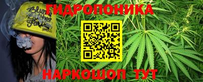 сатива Конаково